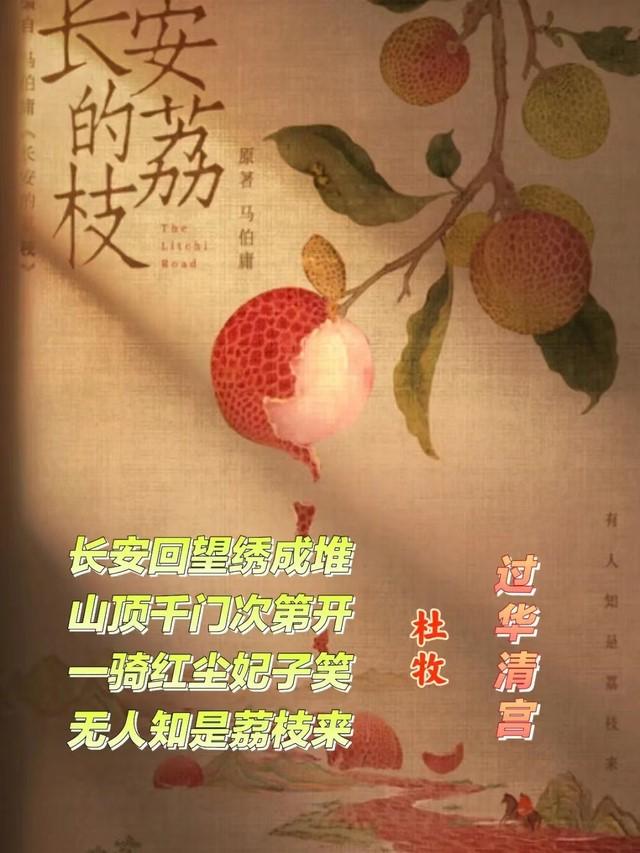AG庄嫌驻(中国)集团